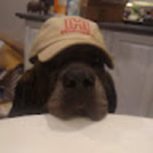 Meet your Posher, Trinity